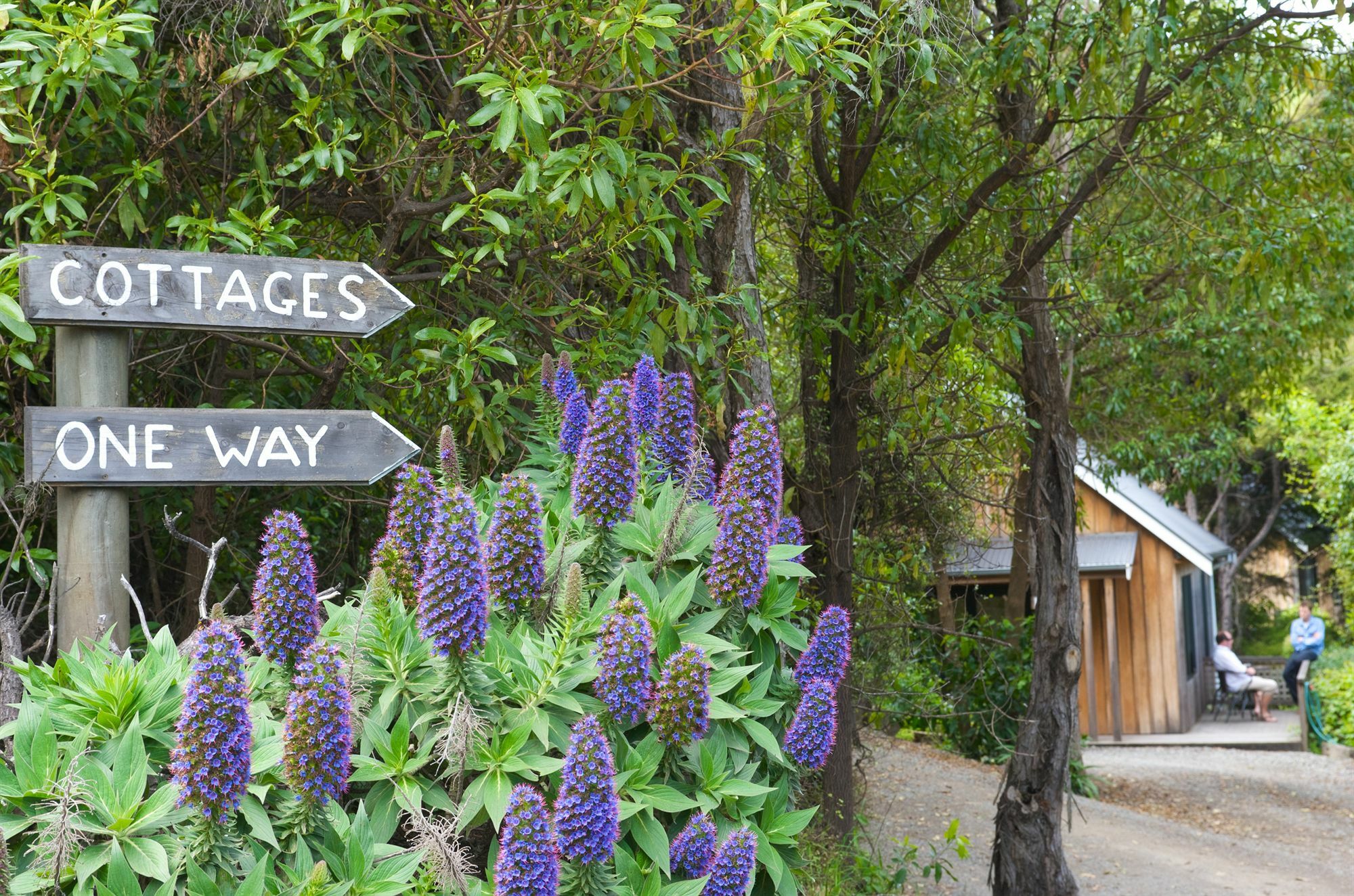 Akaroa Cottages - Heritage Collection Экстерьер фото